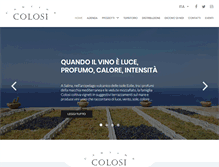 Tablet Screenshot of cantinecolosi.it